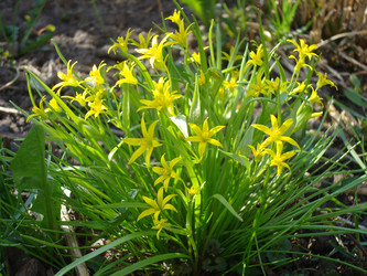 Similar image 1024128