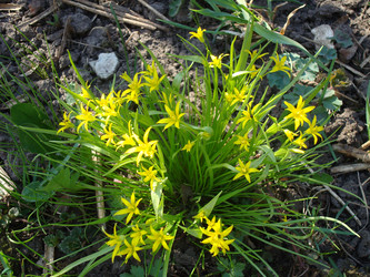 Similar image 1024130