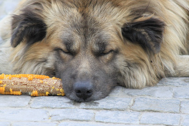 Similar image 1024131