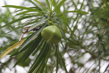 Similar image 1024135