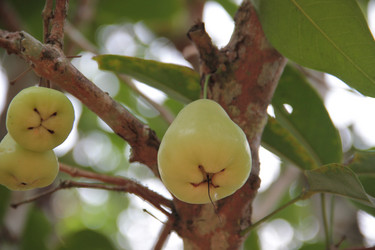 Similar image 1024141