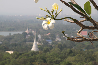 Similar image 1024148