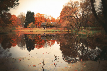 Similar image 1024150