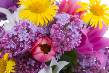 Similar image 1024154