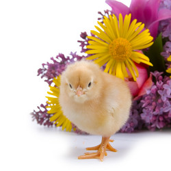 Similar image 1024163