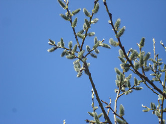 Similar image 1024168