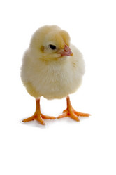 Similar image 1024171