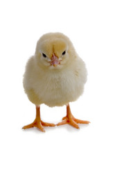 Similar image 1024172