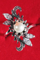 Similar image 1024196