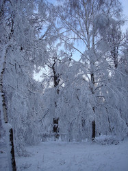 Similar image 1024234