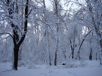 Similar image 1024235