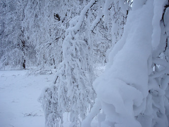 Similar image 1024237