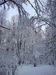 Similar image 1024238