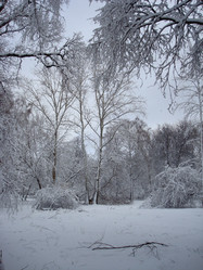 Similar image 1024239