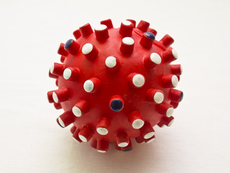 Similar image 1024241