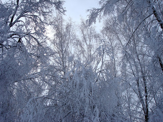 Similar image 1024242