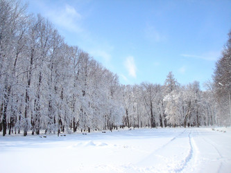 Similar image 1024243