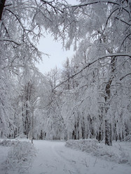 Similar image 1024246