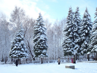 Similar image 1024248