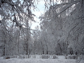 Similar image 1024250