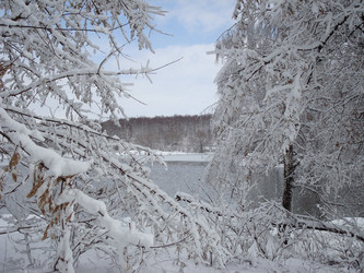 Similar image 1024251