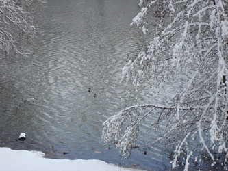 Similar image 1024255