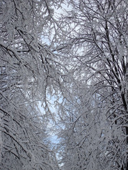 Similar image 1024256