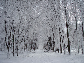 Similar image 1024257