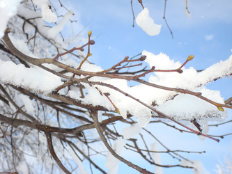 Similar image 1024259