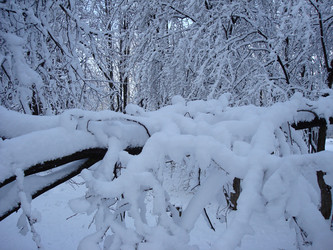 Similar image 1024261