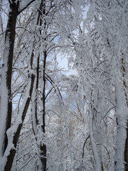 Similar image 1024264