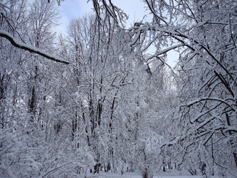 Similar image 1024265