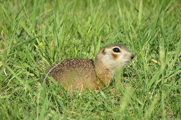 Similar image 1024266