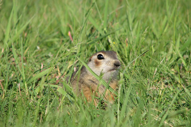 Similar image 1024268