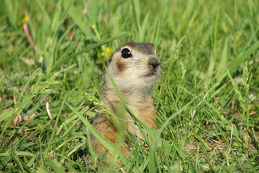 Similar image 1024269