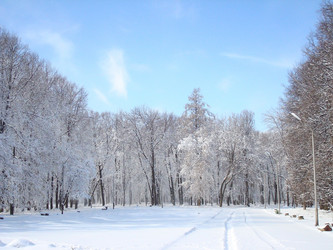 Similar image 1024274