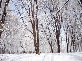 Similar image 1024275