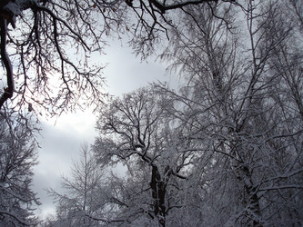 Similar image 1024277