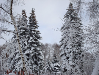 Similar image 1024287