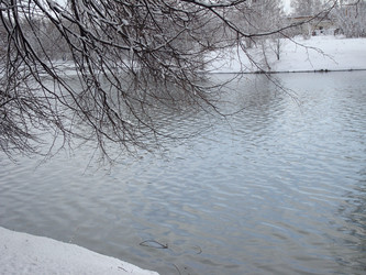 Similar image 1024288