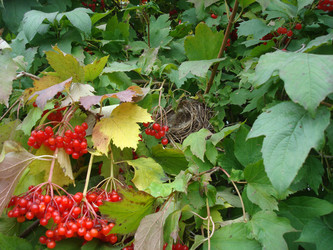 Similar image 1024290