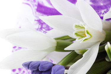 Similar image 1024301