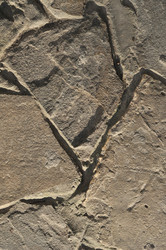 Similar image 1024322