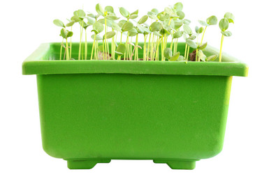 Similar image 1024345