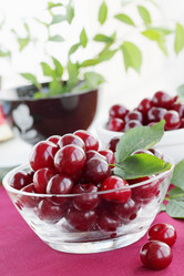 Similar image 1024421