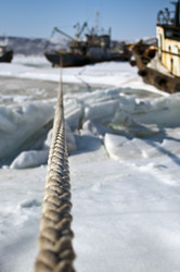 Similar image 1024540