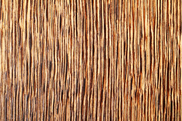 Similar image 1024558