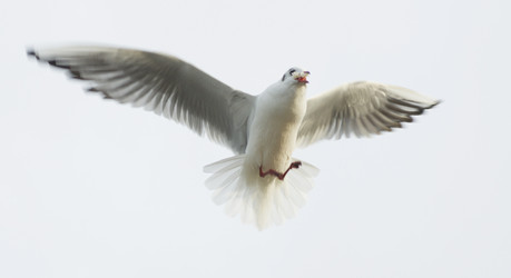 Similar image 1024609