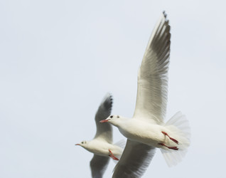 Similar image 1024610