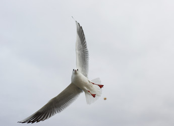 Similar image 1024612